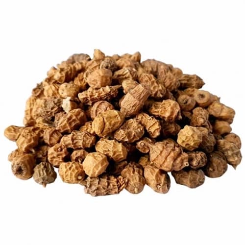 Tiger Nuts XXL