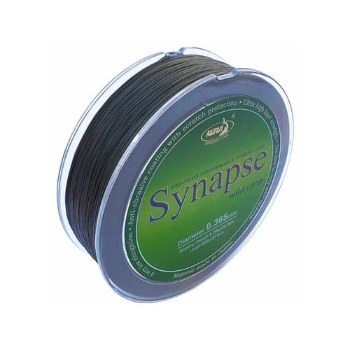 Synapse Wild Carp